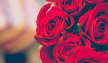 2月，这3生肖把好运全包了，转运发财，富贵享不尽