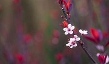 从29日起，财气冲天，添丁添喜，富贵如雨的四大生肖