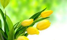 能给丈夫带来财运的生肖女，鸿福万千，年底前有望赚百万再不差钱