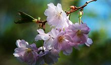 存款数不清的3属相，熬到15号喜事到，紫气傍身，家财成倍涨