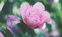 财运在招手，开门迎财运！3大生肖2月开始财运旺，富贵来！