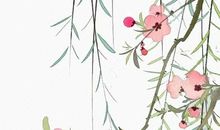 2020鼠年４月生肖属鸡人的运势好吗，事在人为需诚恳