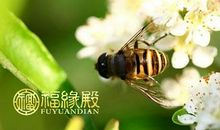 郑博士：小满节气如何旺运和养生