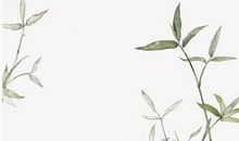 2020鼠年４月生肖属狗人的运势好吗，整体一般需注意欲速不达