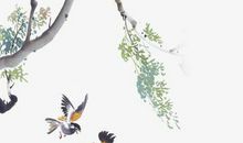 宝宝起名需要注意什么，注重整体搭配