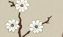 2020庚子鼠年3月16号出生的人性格命运解析，五行八字查询