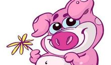 2019年属猪人买房风水有什么宜忌？(图文)