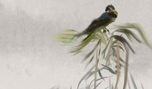 1995年生的25岁生肖猪人2020年运势好吗，事业上升期，财运好转