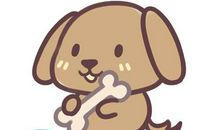 属狗人的运程好吗,以及属狗人的2020年全年运势