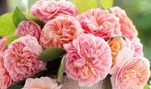 婚后“最劳累”的三位生肖女，每天做不完的家务，丈夫指望不上