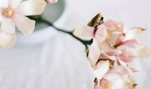 2020年11月3号出生的女孩起什么名字高分有诗意，五行属什么