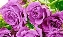 最显年轻的3位生肖女，老了魅力不减反增，50岁后依旧魅力无限