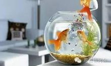 风水：小心你的财运被水带走哦~