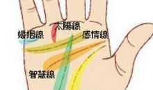 手相图解大全女，右手生命线长短表示健康程度