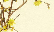 2020年5月10号四月十八生的女孩是什么命，起什么名字高分