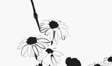 女孩取名：2020年11月1号出生的女孩参考四书五经取名字