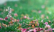 雨水节气出生的属虎人命好不好 属虎雨水出生命运(图文)