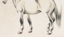 3大生肖善于经营自己的事业，能白手起家，富贵靠自己