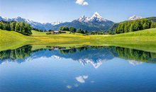 生活中很像无水之木一般飘忽不定的生肖女