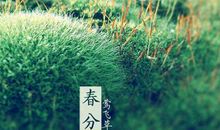 春分节气出生的属虎人是什么命 属虎春分出生好不好？(图文)