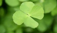 大大好消息！20号开始，天上掉财、地上生金，3生肖大吃大喝，想不富都难