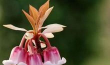 十二生肖阳历运气：2023年阳历9月19日运气算命预测