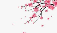 2020庚子鼠年3月20号出生的人性格命运解析，五行八字查询