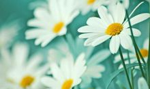 别人面前很霸道，恋人面前温柔似水，体贴入微的星座