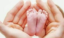 2020年出生的属鼠的宝宝跟生肖鸡会相合吗