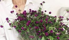 血型君都来说说对这个春节有啥期待的吧！