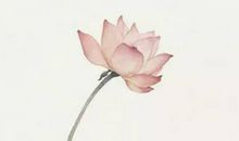 2020年5月8号四月十六生的女孩是什么命，起什么名字高分