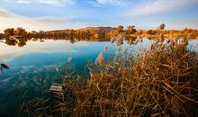 对爱很执着，爱情表白被回绝后依然会软磨硬泡的生肖女