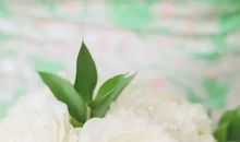 2020年农历七月和八月生肖属龙和生肖属龙宜结婚黄道吉日