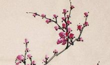 2020年农历四月初四出生的男孩起名宜用什么字，五行属什么