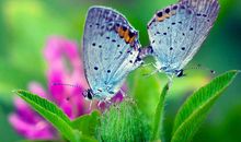 2月上旬，财库丰盈，运势上佳的4个生肖，事业一路亨通