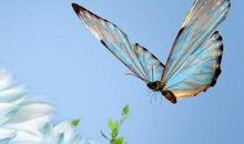 12月开始，4属相苦日子不再有，好日子享不尽，财旺福气旺