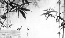 如何通过诗经来给男孩取名字，直接运用诗经中的字词