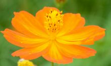 未来10天，4属相财运紫气东来，横财好事，接踵而至，贵人多多