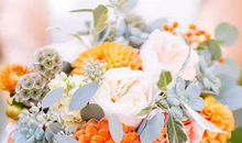 2020年农历七月和八月生肖属牛和生肖属猪宜结婚黄道吉日