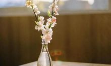 巨蟹座有哪些鲜为人知的一面？