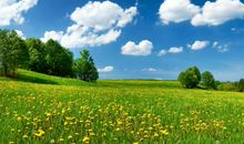 生肖属羊的本命佛是什么，生肖羊的本命佛是大日如来