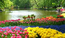 下周起开门见喜，财库大开，4属相钞票滚滚，翻身成富人