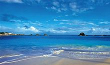 属兔人和属蛇人是天生一对吗 恋爱会长久吗(图文)