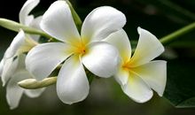 在3月中旬，百折不挠，苦尽甘来，绝处逢生的三大星座