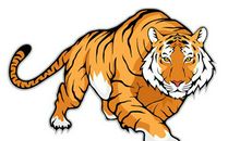 1974年生肖虎人几月出生最好