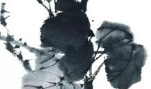 1962年生的58岁生肖虎人2020年运势好吗，天德贵人星相助，婚姻美满