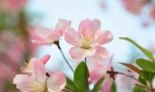 开运在即，12月份事业红红火火，升职加薪，富贵可期的3生肖