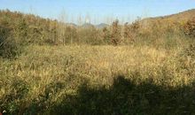 郑州风水大师：大龙风水宝地藏在深山之中，王君植在河南看风水案例