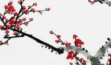 2020年5月12日出生的男孩怎么起名字，五行八字是什么