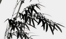 2020年5月13日出生的男孩如何起名字，鼠宝宝取名宜用字